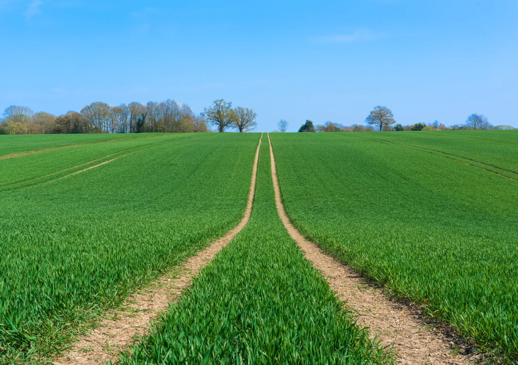 A view from the Bar: Agricultural Landlord and Tenant Code of Practice for England – practical considerations for litigators